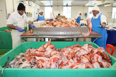 Blaue Zukunft für grüne Welt | © Helmut Stapel