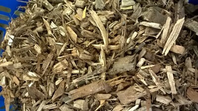 „Chemie raus – Physik rein!“ | © Gabriele Becker 