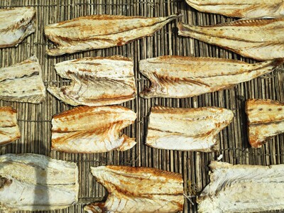 CO2-Emission senken durch Nutzung von Abwärme | © Hochschule Bremerhaven