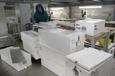 Dem Klimawandel auf der Spur: Bremerhavener Forscher tauchen im Eislabor in die Erdgeschichte ein | © Helmut Stapel