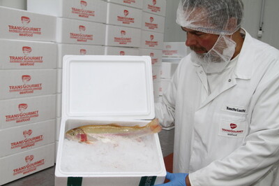 Fisch als nachhaltiges Lebensmittel: Transgourmet macht´s möglich | © Helmut Stapel