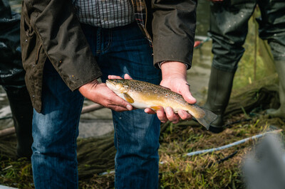 Fischaktie: Gewinn für die Natur | © Transgourmet / Helmut Stapel