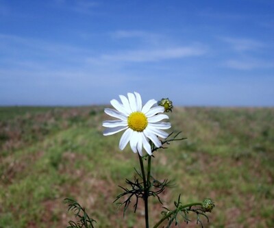 Gewerbegebiet der Zukunft: Was macht es aus? | © Angie525A