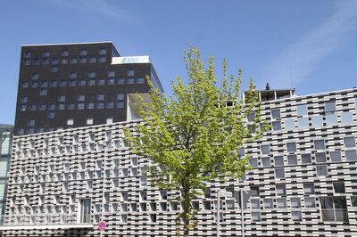 Green Economy trotzt Corona | © Helmut Stapel