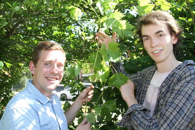 Grüner Hitzeschild im Stadtleben soll Abkühlung schaffen | © Urban Pergola