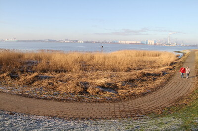 Grüner Mehrwert in den Häfen | © Helmut Stapel