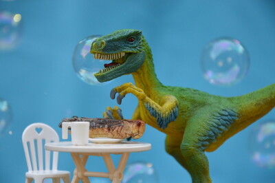 Iss mal anders… Aktionstage zur Nachhaltigkeitswoche | © Linda Böhm / Aktionswoche "Iss mal anders / Hochschule Bremerhaven