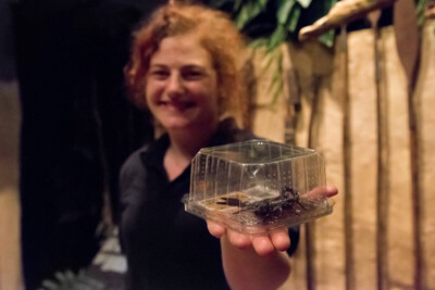 Krabbelige Mitbringsel und stachelige Fracht | © Holger Bockholt/Klimahaus