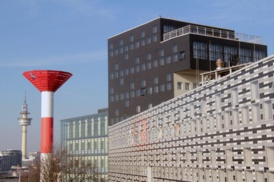 Küstenmeere im Stress | © AWI / Lars Grübner