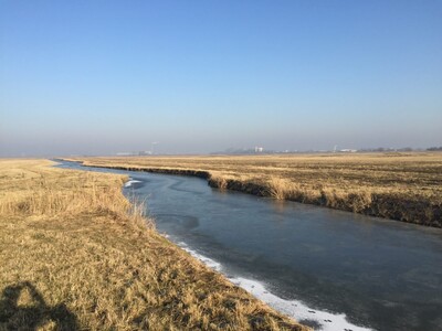 Mit Kreativität für die Natur: Kompensationsfläche auf der Luneplate ist ein ökologischer Schatz | © Helmut Stapel