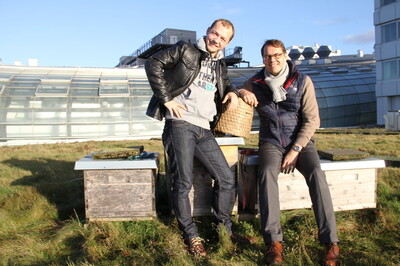 Multitalent mit Leckerfaktor: Bienenzucht auf dem Hoteldach | © Helmut Stapel
