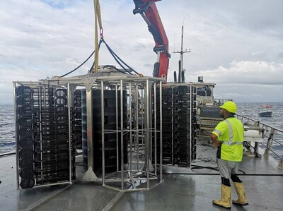 Offshore-Windparks und Ernährung | © OLAMUR Offshore-Windparks und Ernährung | © OLAMUR