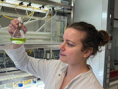 Rotalge für grünere Wirtschaft | © Helmut Stapel