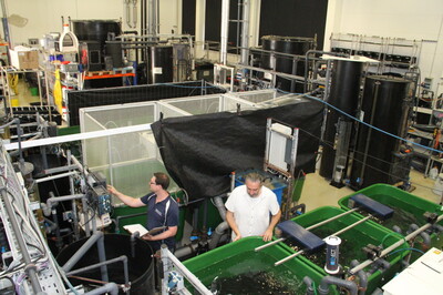 Sauberes Wasser ohne Chemie | ©  Helmut Stapel