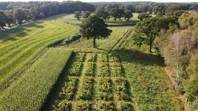 Science meets Business – Natürlich: Stein bindet CO2 | © Helmut Stapel