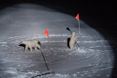 World Press Photo Award für AWI-Fotografin | © AWI/Esther Horvath